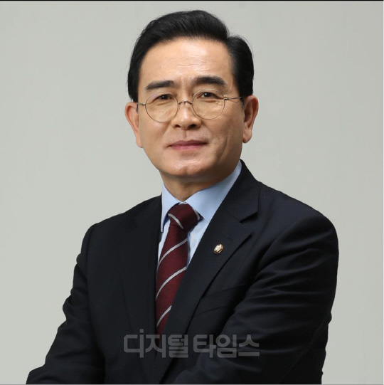 태영호 국민의힘 최고위원. <디지털타임스 DB>